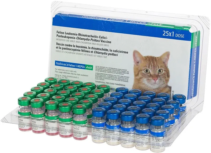 Nobivac Felina1-HCPCh+FeLV